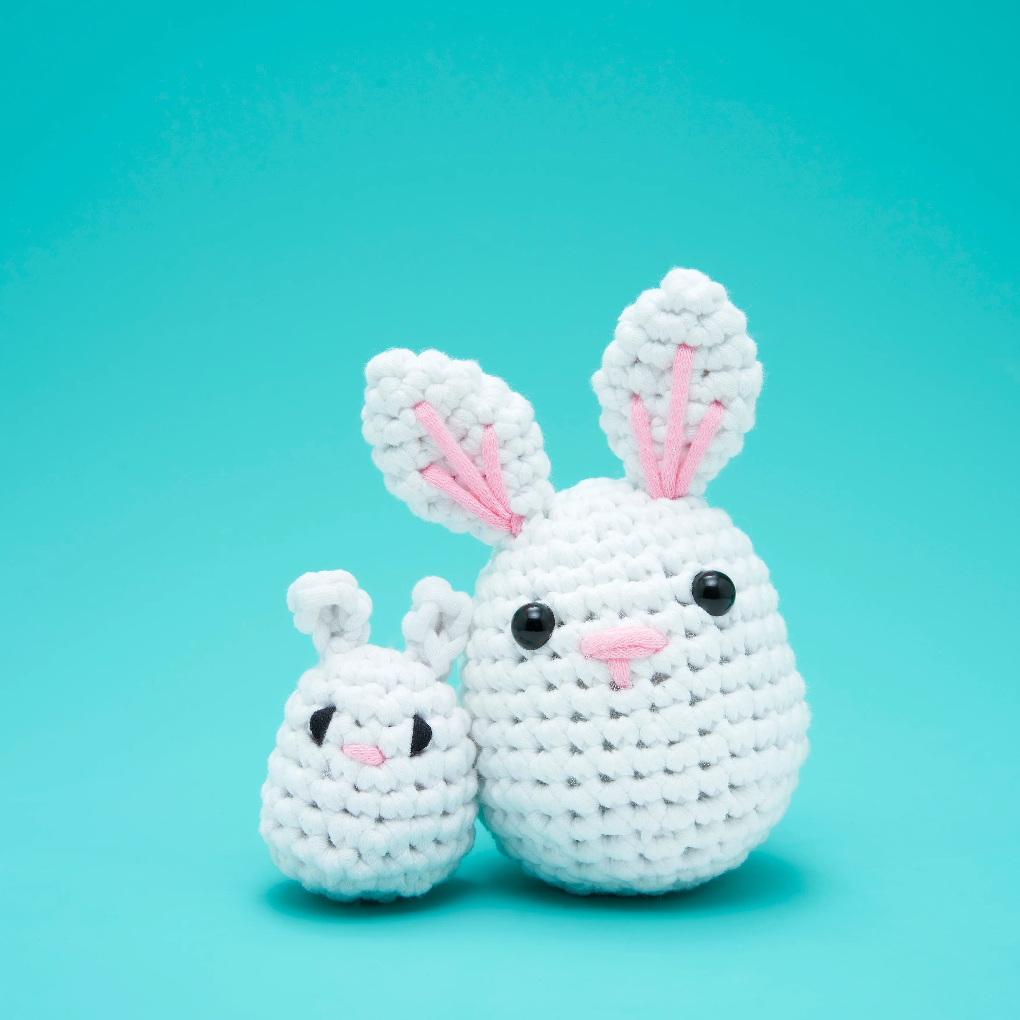 Itty Bitty Wittle Bunny Accessory Kit